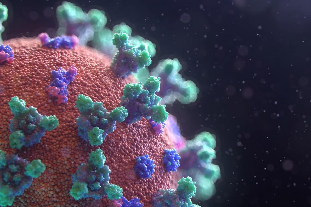 Coronavirus Update Microsoft Access database Support