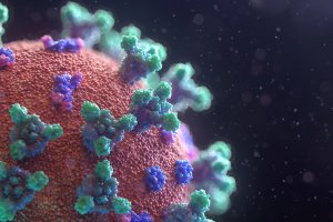 Coronavirus Update Microsoft Access database Support